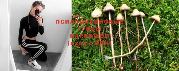 не бодяженный Вяземский
