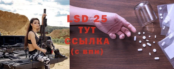 ГАЛЛЮЦИНОГЕННЫЕ ГРИБЫ Горняк