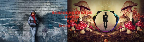 каннабис Ступино