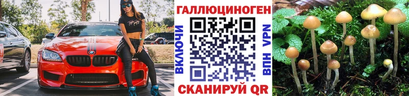 Галлюциногенные грибы ЛСД  Камбарка 